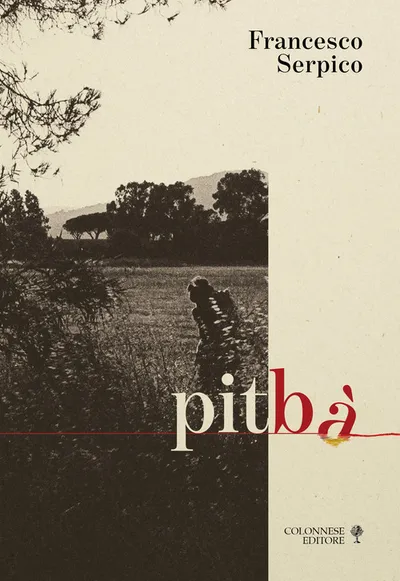 Copertina di Pitbà. Di sentieri, di segni e altre didascalie