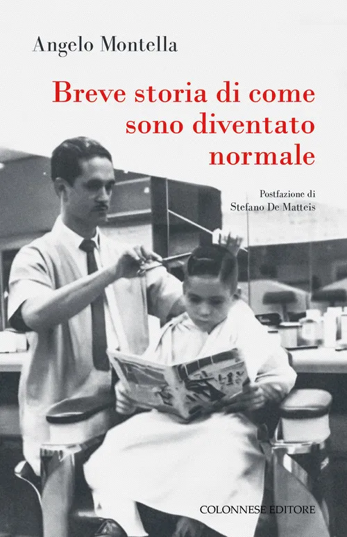 Cover of Breve storia di come sono diventato normale