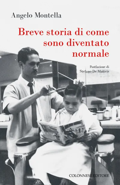 Copertina di Breve storia di come sono diventato normale